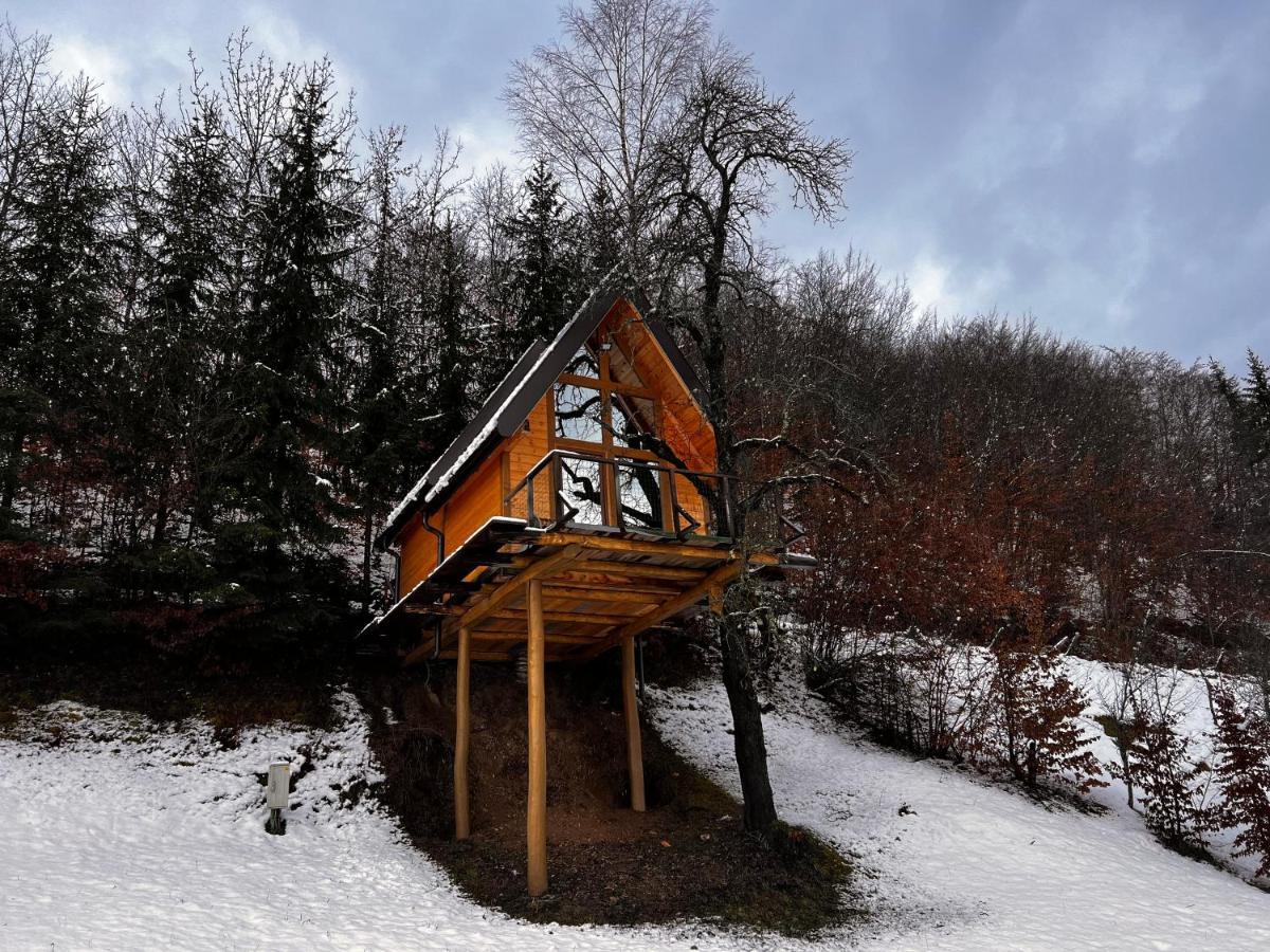 Tara Place - Camp Rabrenovic 모이코바츠 외부 사진