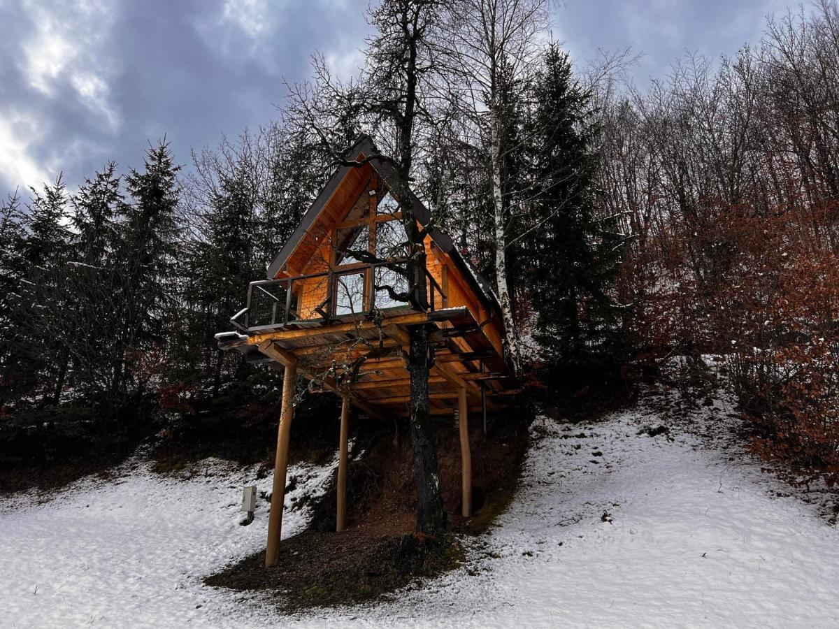 Tara Place - Camp Rabrenovic 모이코바츠 외부 사진